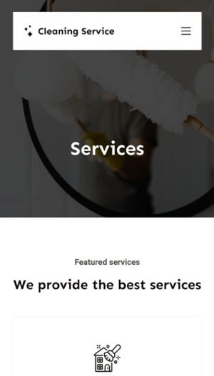 Cleaning Service